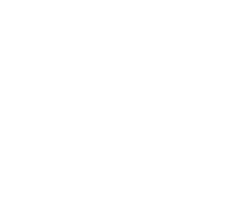 ذكاء مشع
